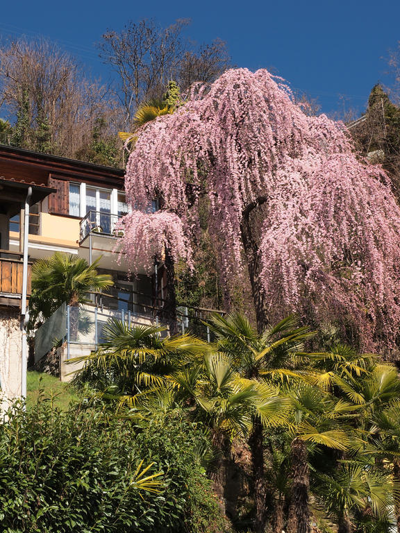 Casa Sibylle Bei Locarno公寓 外观 照片